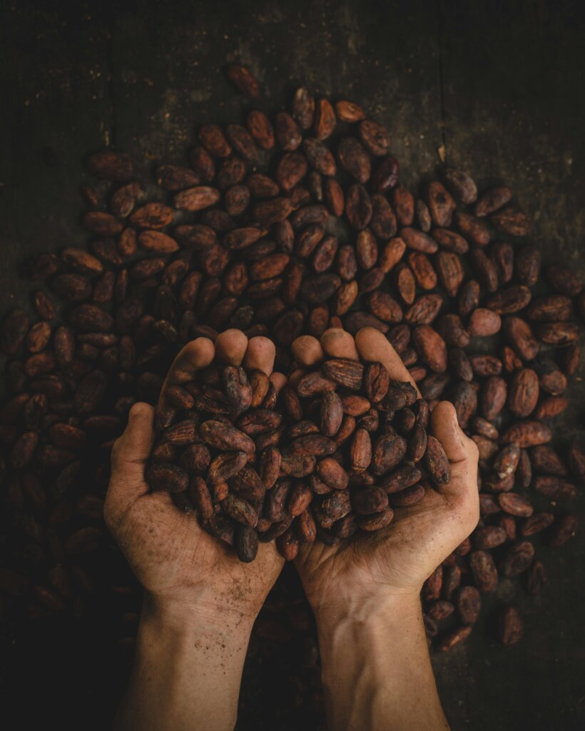 Foi através das rotas do comércio espanhol que o chocolate encontrou seu caminho até a Europa