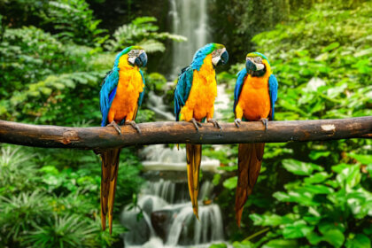 Melhores lugares para viajar no Brasil