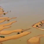 Chuvas Raras Revivem o Deserto e Renascem Esperanças