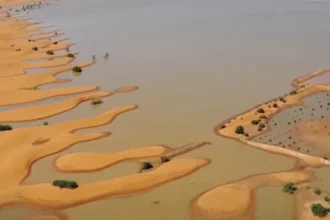 Chuvas Raras Revivem o Deserto e Renascem Esperanças
