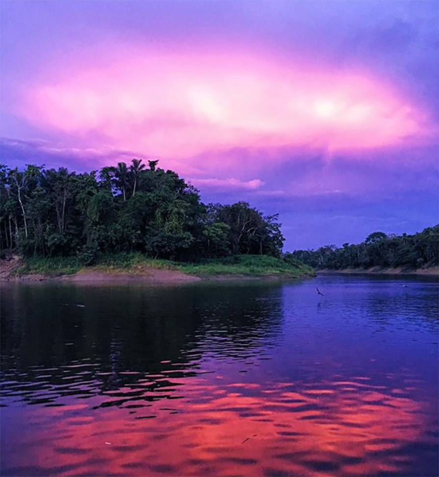 Viagem para Manaus