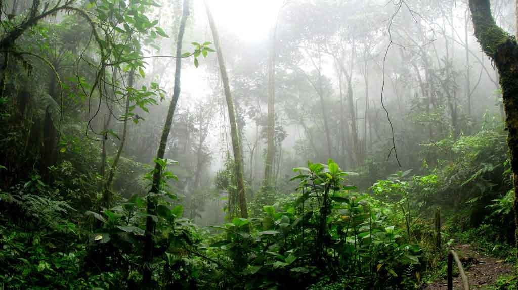 natureza exuberante