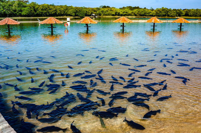 Viagem para Bonito
