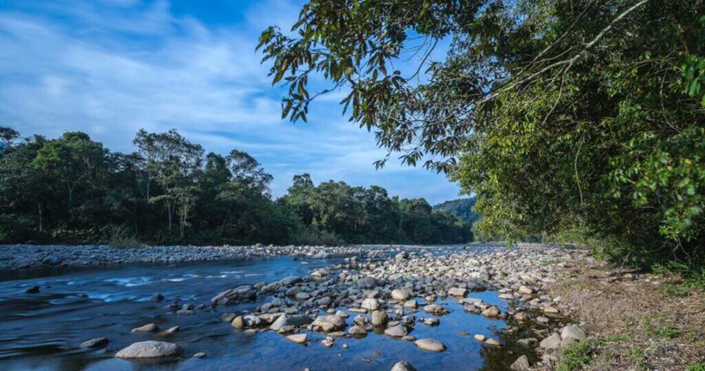 riacho na serra do mar