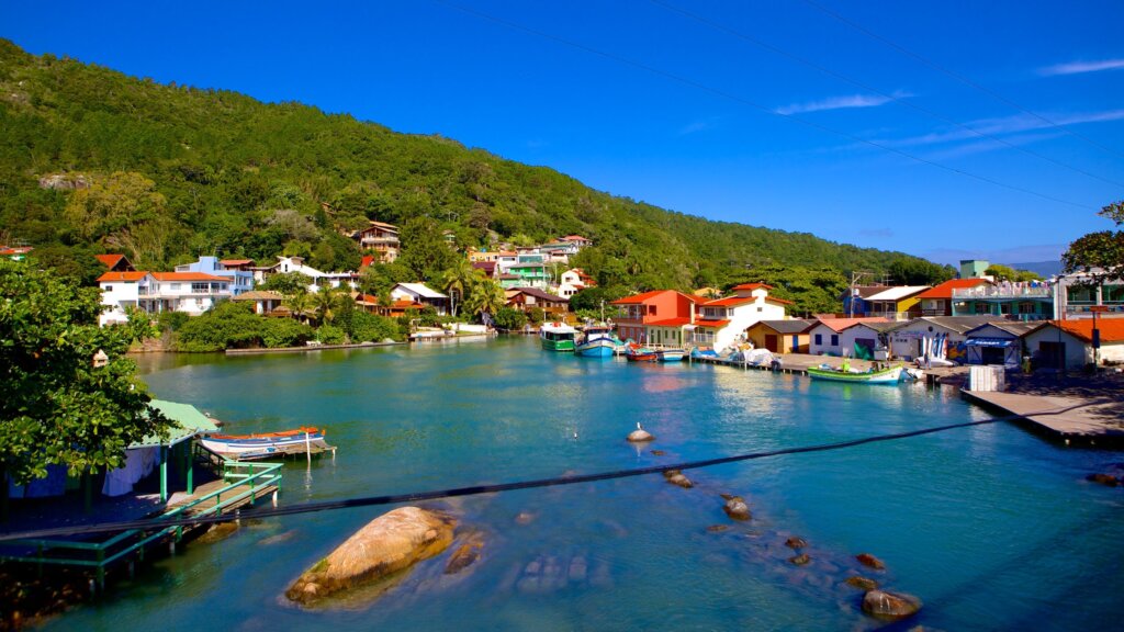 bela vista da natureza