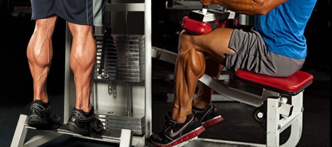 5 Exercícios para Panturrilha: O Segredo de Pernas Poderosas