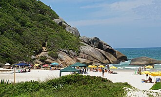 Praia Brava Florianópolis