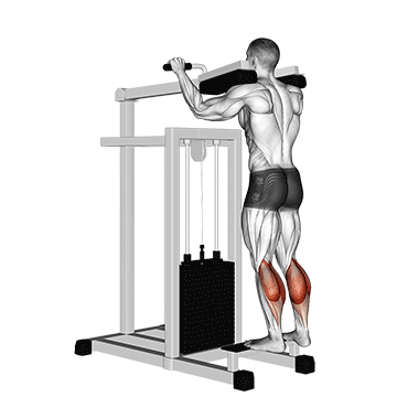 5 Exercícios para Panturrilha Panturrilha em Pé: O Pilar da Força