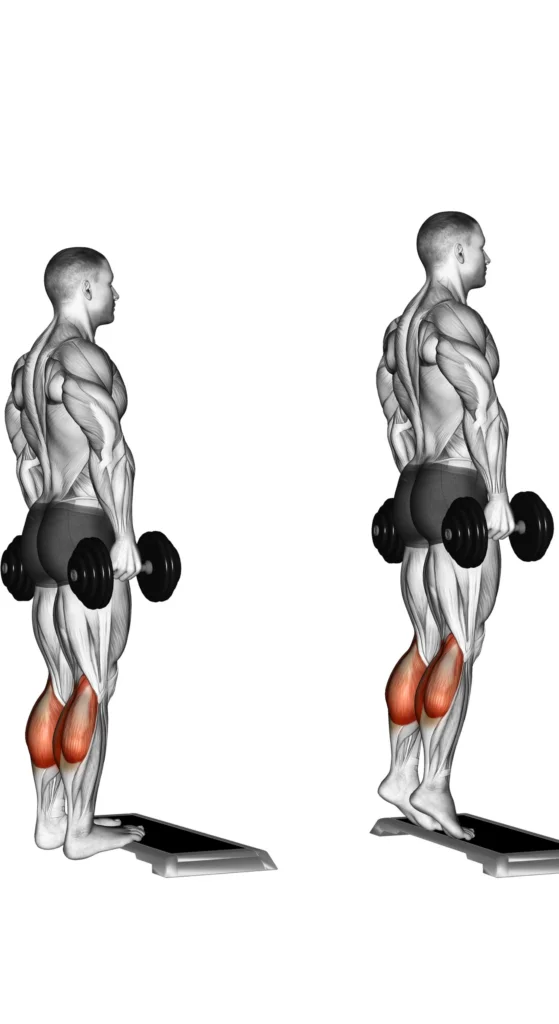 5 Exercícios para Panturrilha Panturrilha no Step: A Subida do Desafio e Panturrilha Isolada