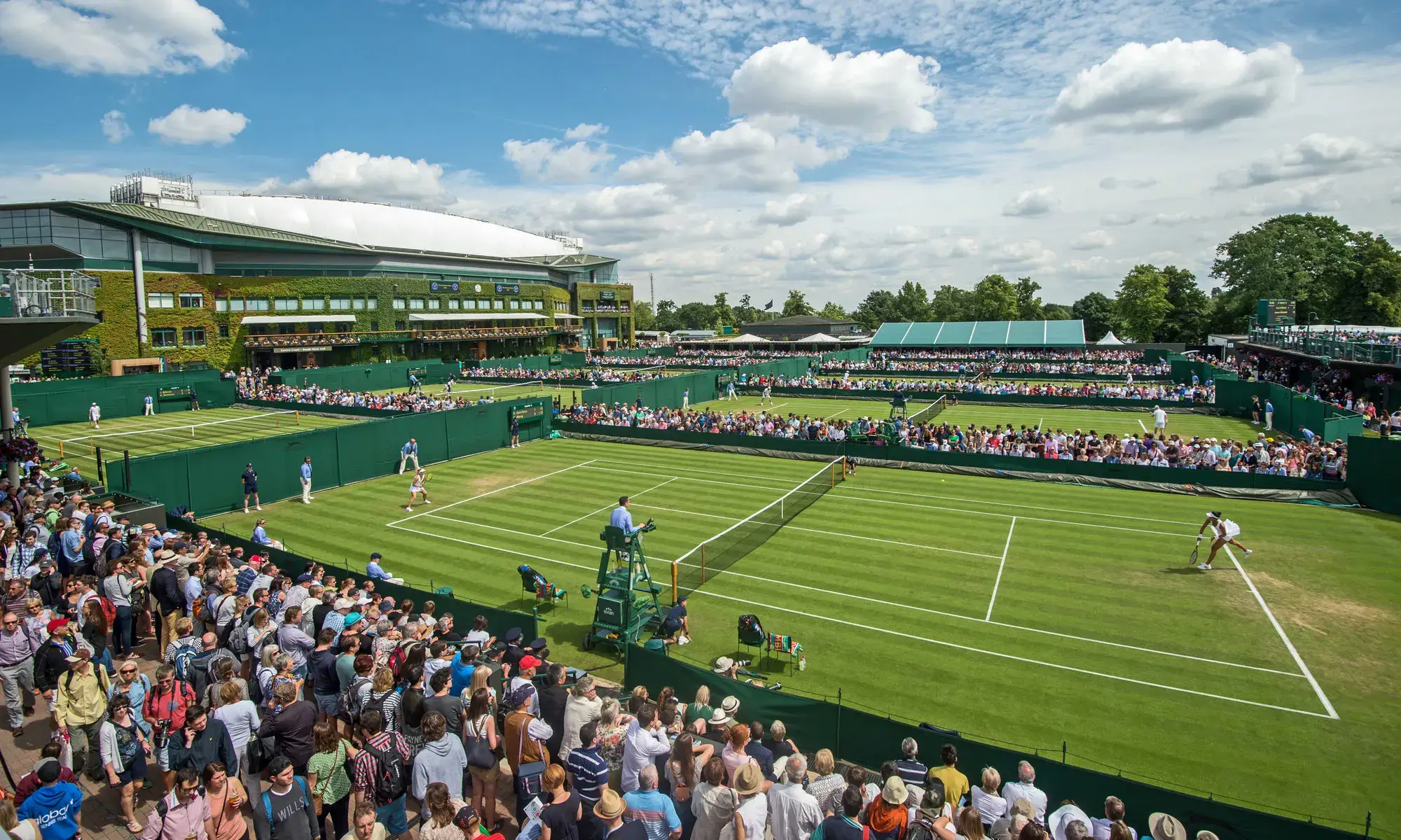 Wimbledon: O Sagrado Templo da Grama e a Sinfonia do Tênis Clássico